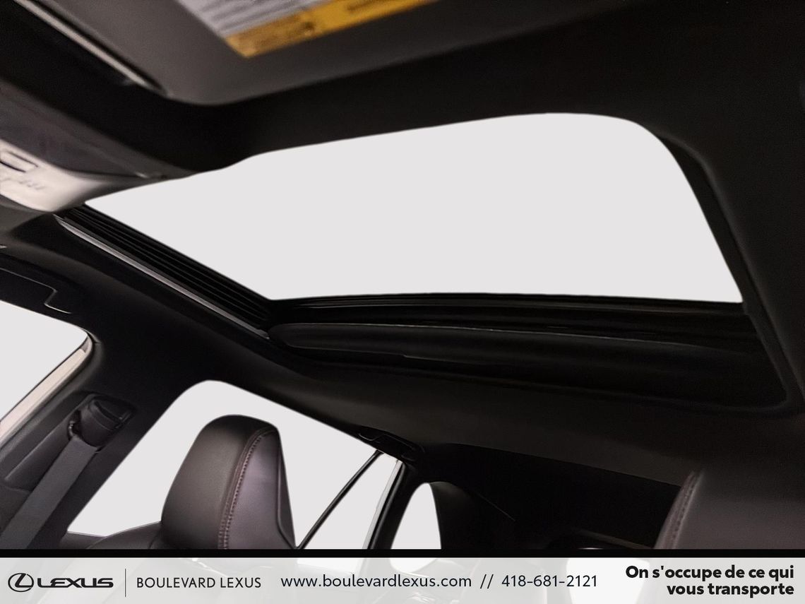 2023 TOYOTA RAV4 PRIME XSE AWD