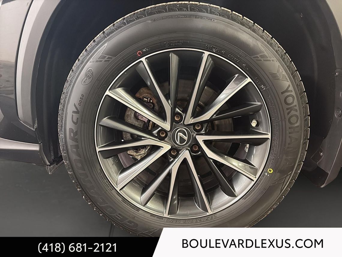 2023 LEXUS NX 250 EDITION SIGNATURE AWD