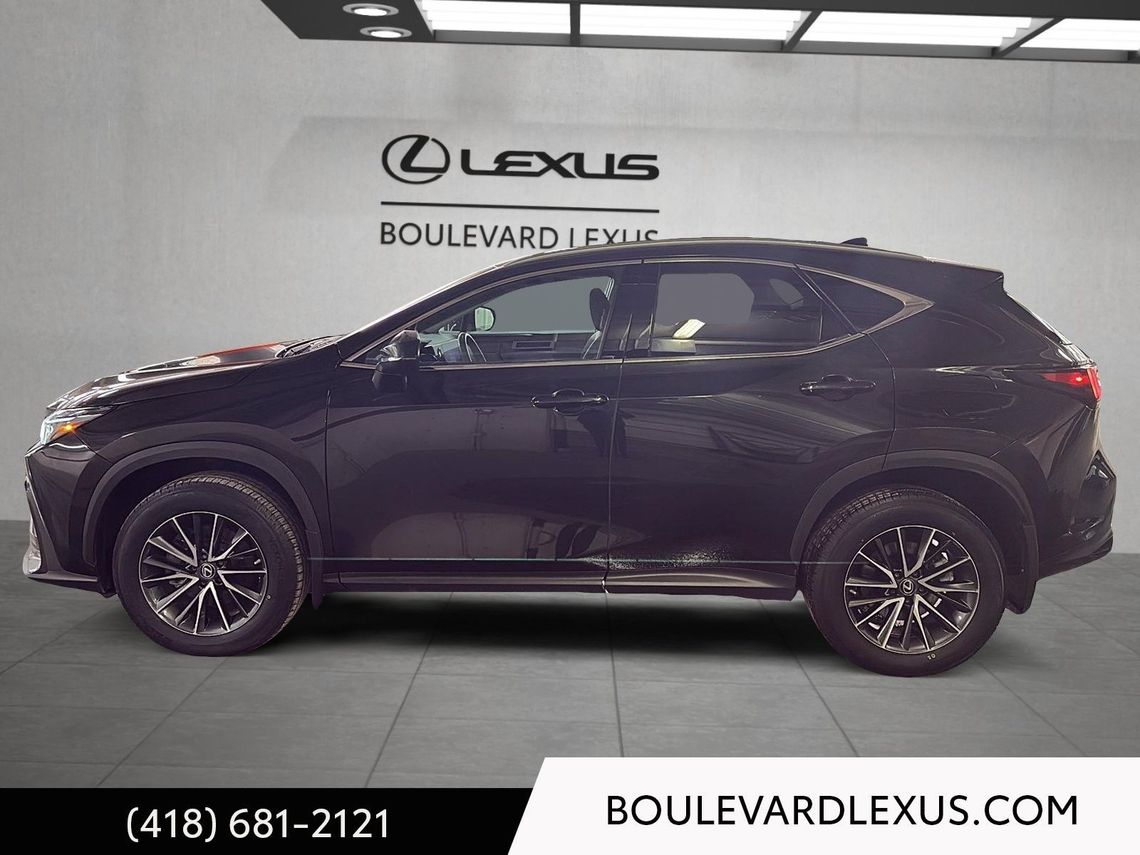 2023 LEXUS NX 250 EDITION SIGNATURE AWD