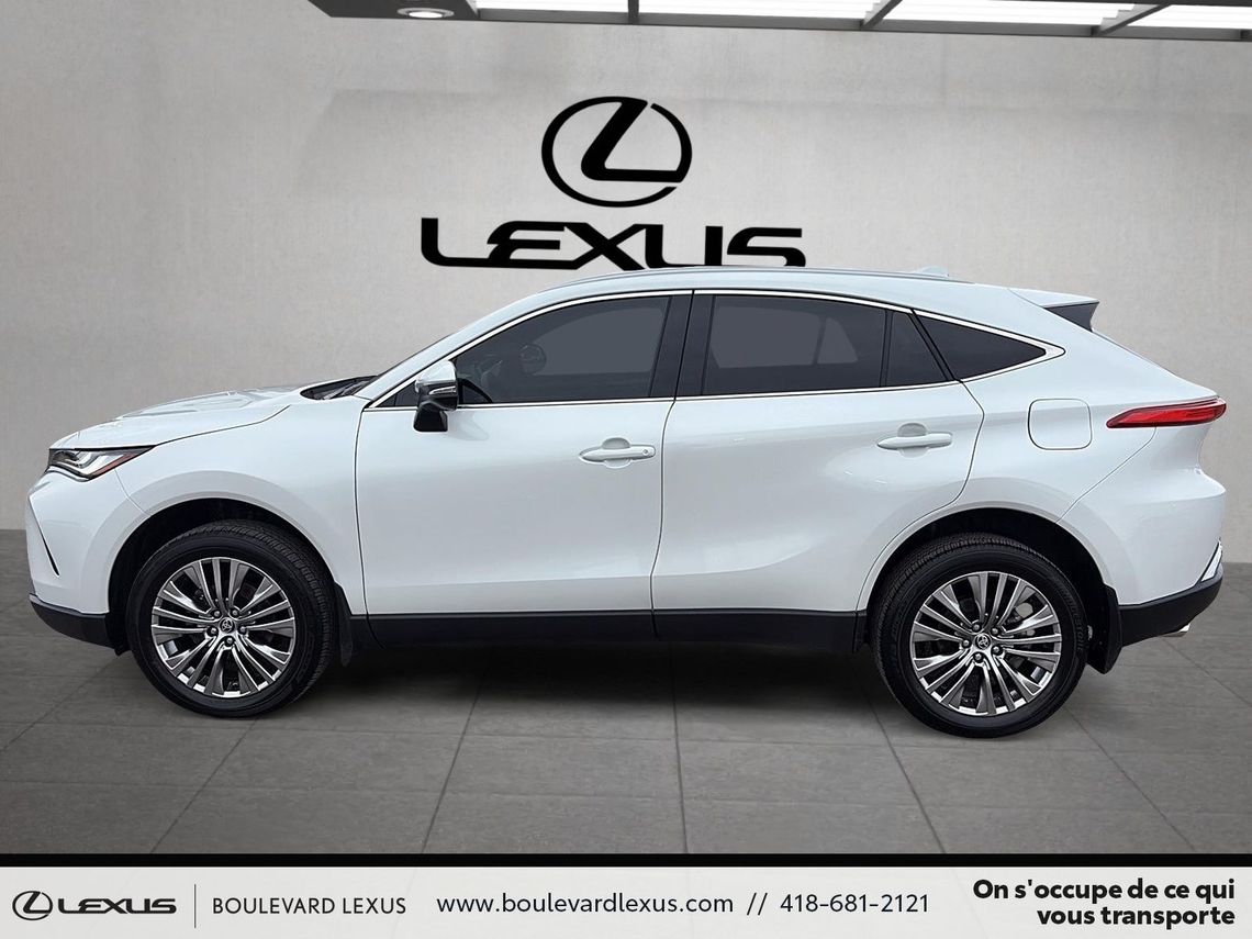 2024 TOYOTA VENZA XLE AWD