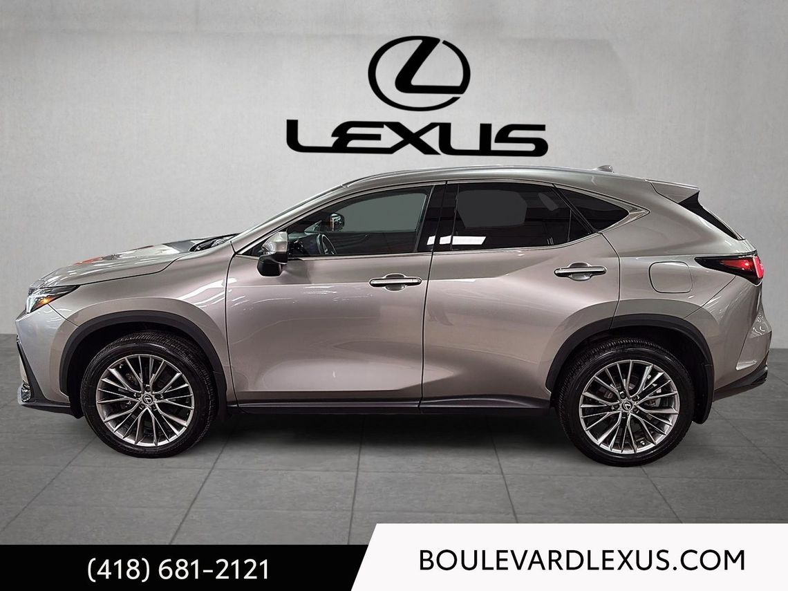 LEXUS NX350H 2022