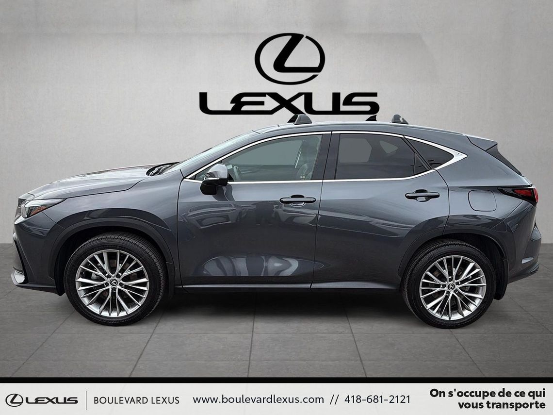 2025 LEXUS NX350H LUXE