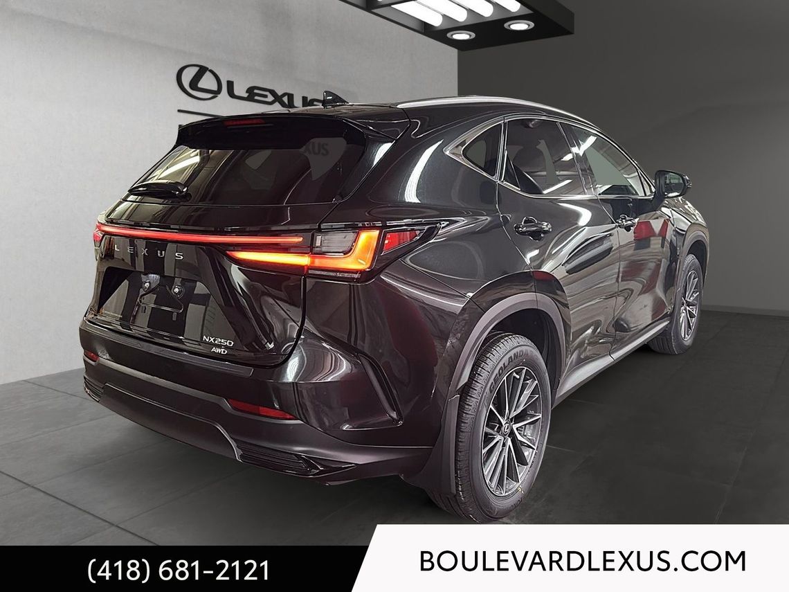 2023 LEXUS NX 250 EDITION SIGNATURE AWD