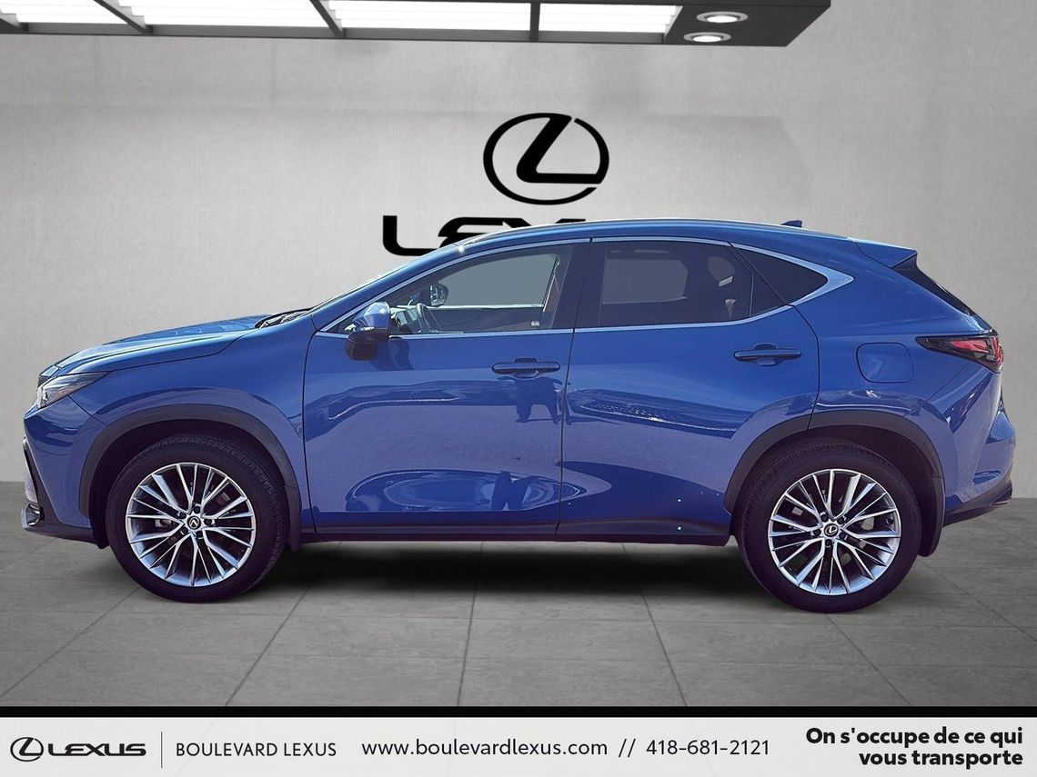 2024 LEXUS NX350 ULTRA LUXE