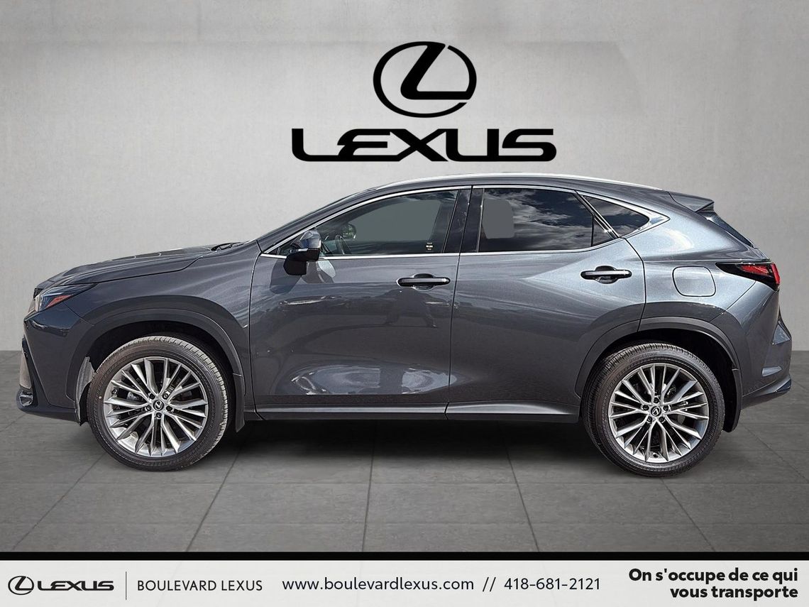2024 LEXUS NX 350 AWD PREMIUM