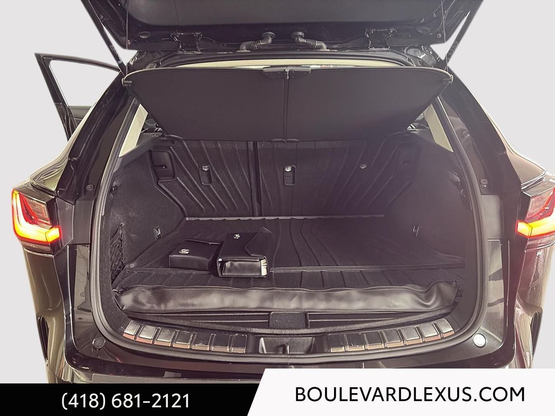 2023 LEXUS NX 250 EDITION SIGNATURE AWD