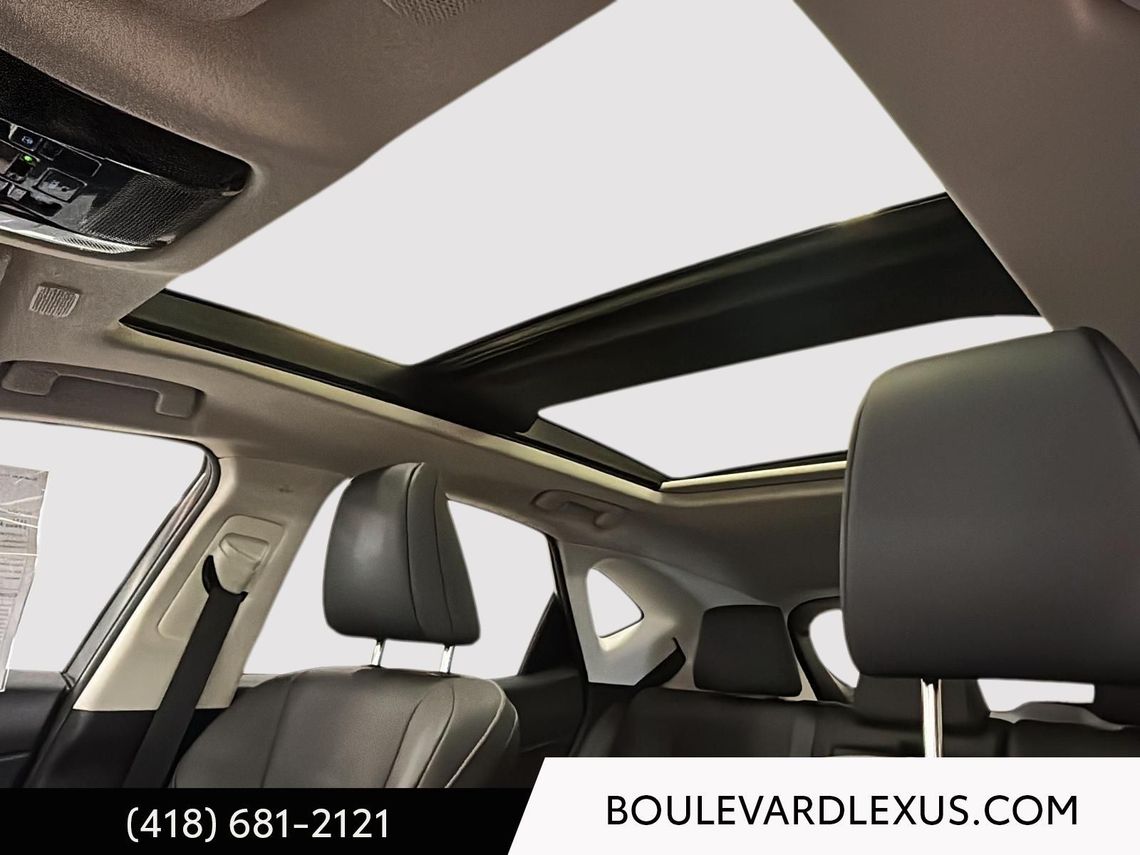 2024 LEXUS NX 350h GROUPE LUXE AWD