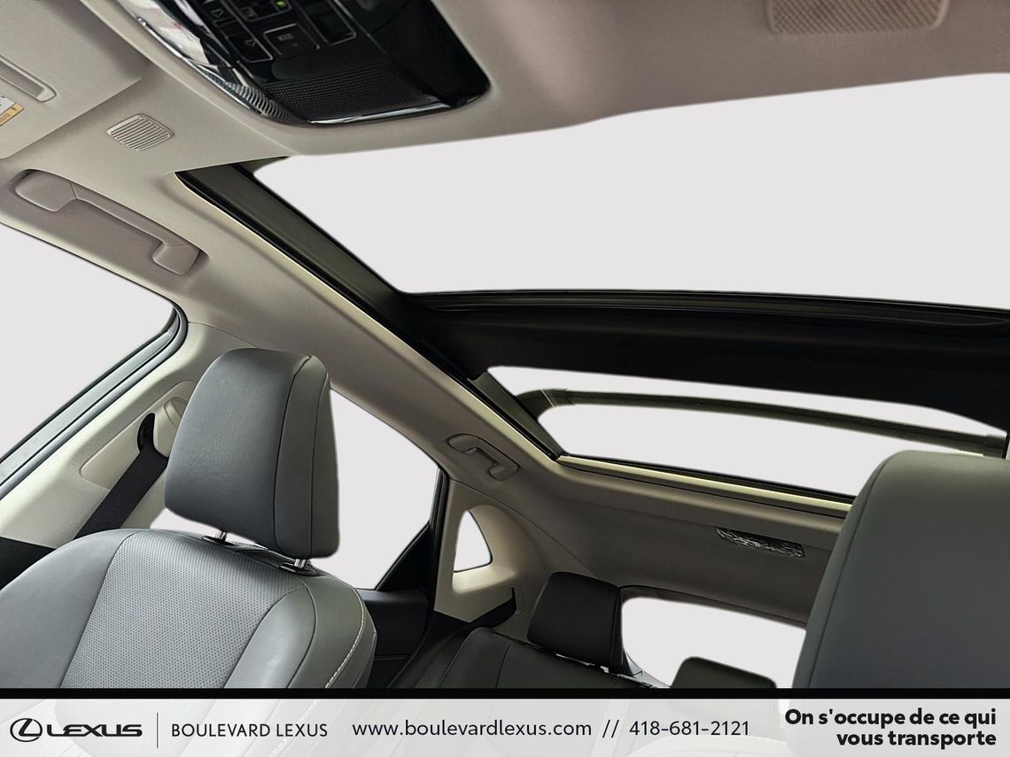 2025 LEXUS NX350H LUXE