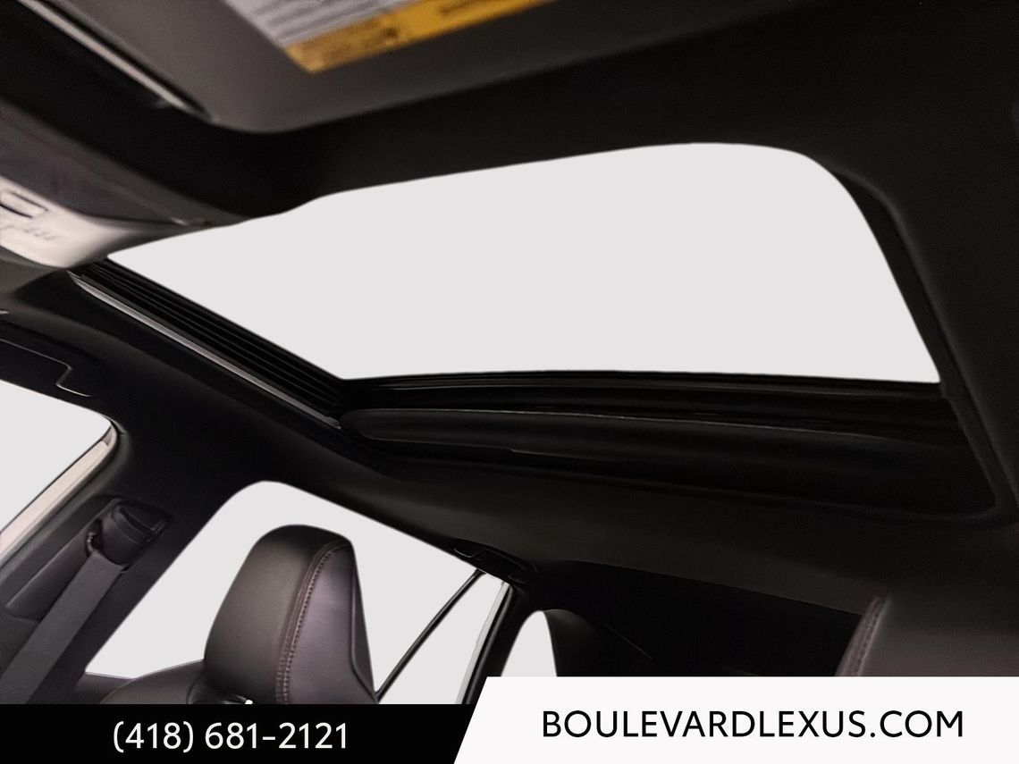 2023 TOYOTA RAV4 PRIME XSE AWD