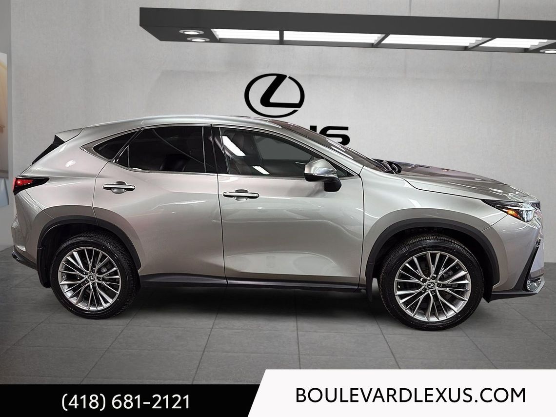 LEXUS NX350H 2022