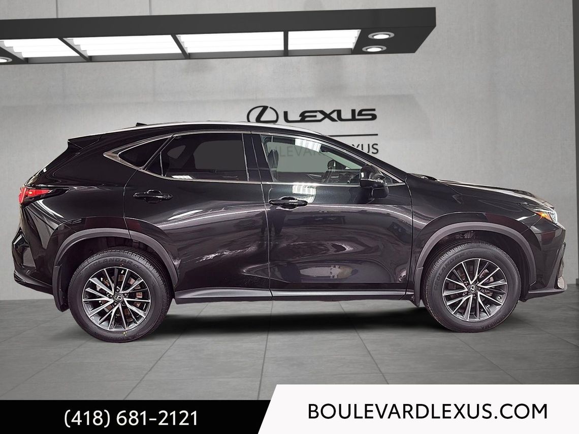 2023 LEXUS NX 250 EDITION SIGNATURE AWD