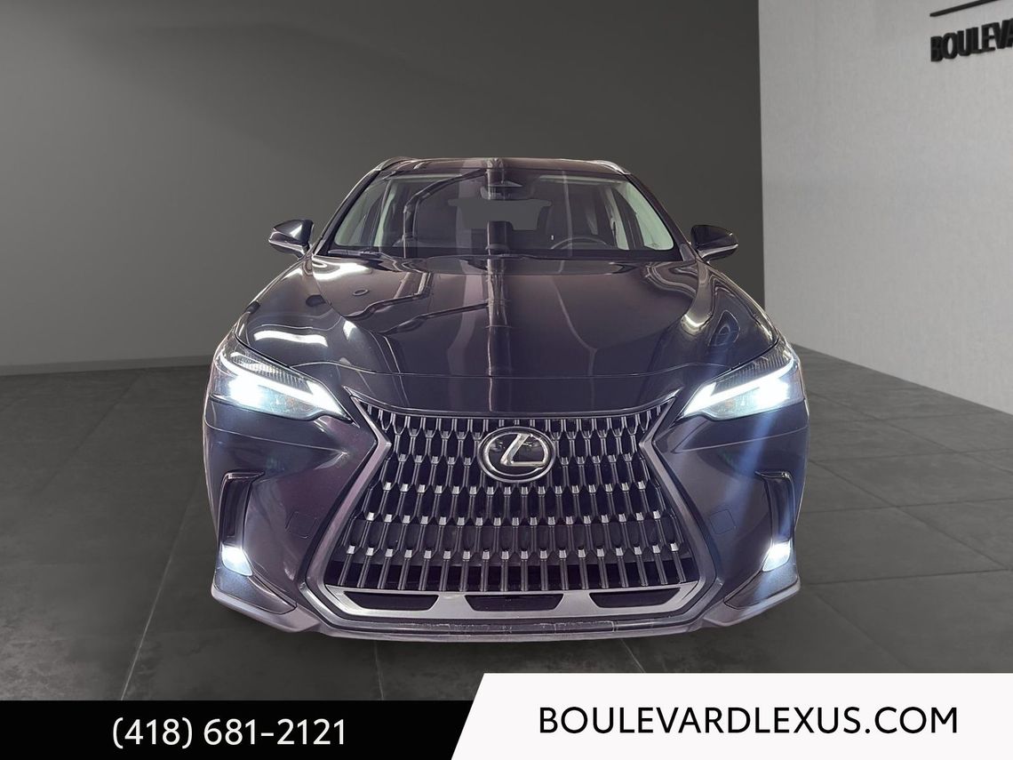 2023 LEXUS NX 250 EDITION SIGNATURE AWD